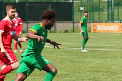 IMG_3174-scaled